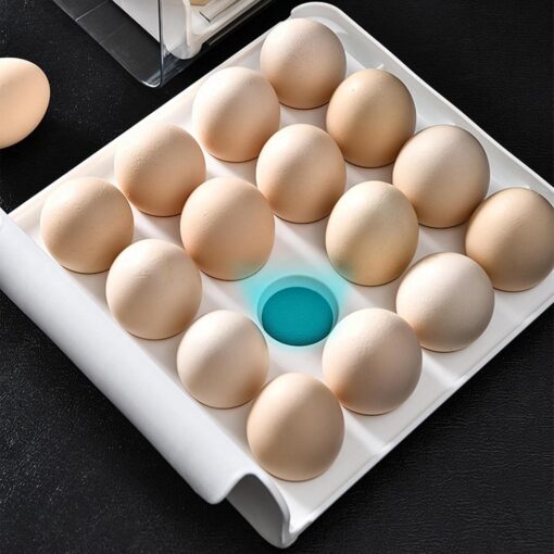 Acrylic Egg Rack (2 Steps, 32 eggs) - Image 8