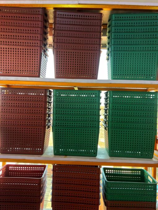 Multipurpose Basket - Image 5
