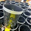Fancy Plastic Dustbin